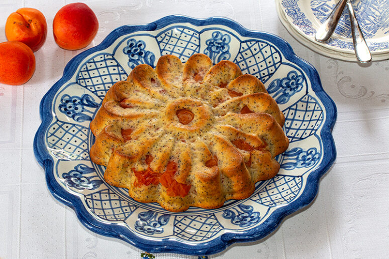 gâteau aux abricots