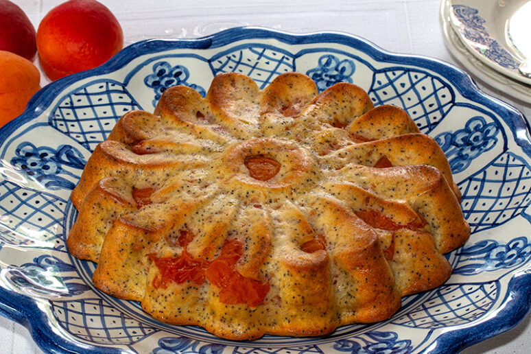 gâteau aux abricots