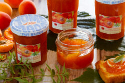 abricots