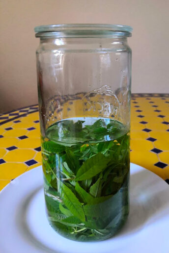 liqueur de verveine