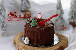 bûche souche
