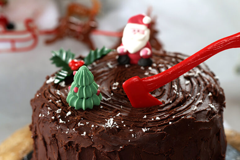 bûche souche