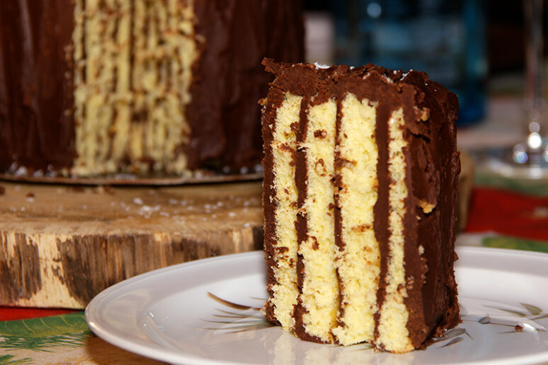 bûche souche