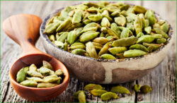 cardamome