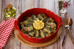 gratin de sardines