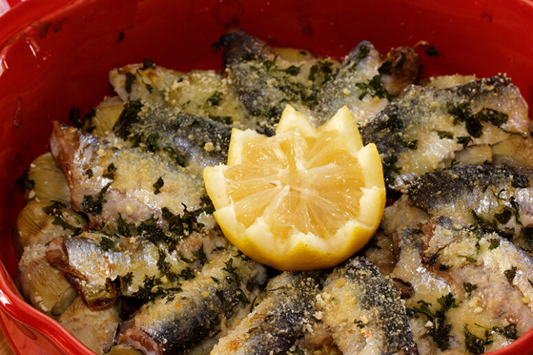 gratin de sardines