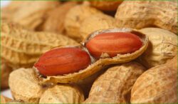 cacahuètes