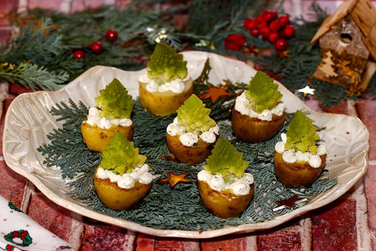 petits sapins