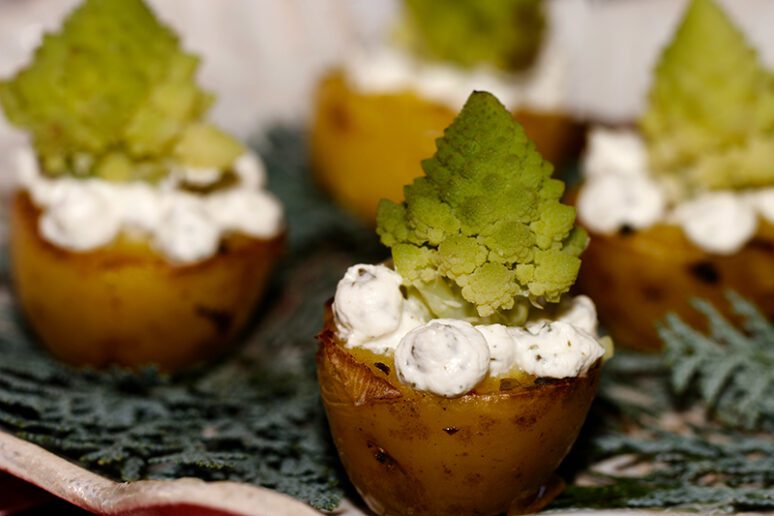 petits sapins