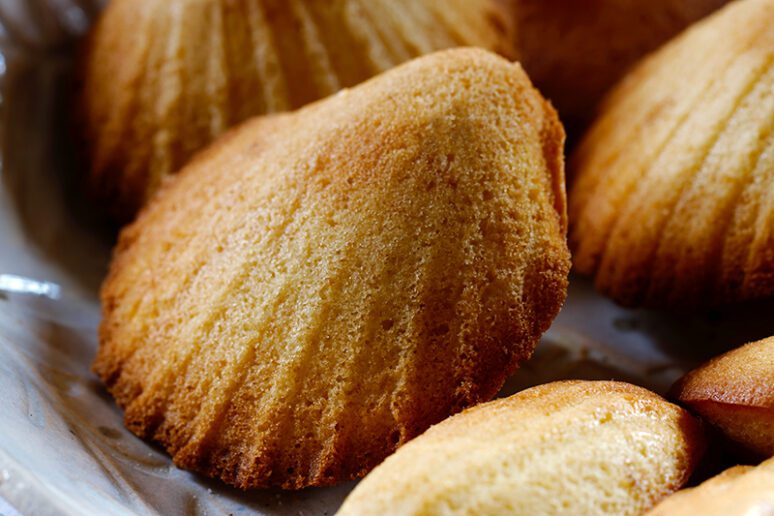 madeleines de Compostelle