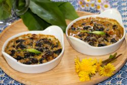 escargots en cassolettes