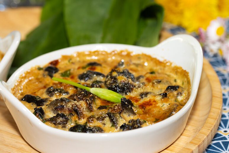 escargots en cassolettes