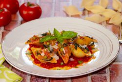 conchiglionis