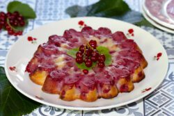 financier groseilles