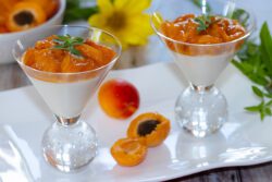panna cotta abricots