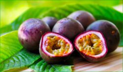 fruit de la passion