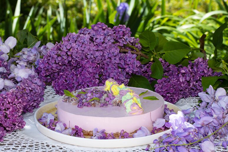 cheesecake fleurs de lilas