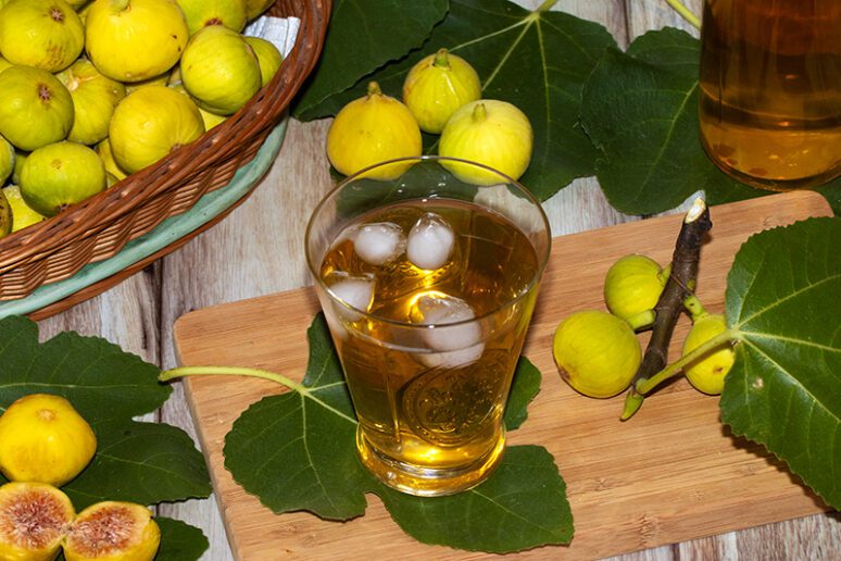 sirop de feuilles de figuier