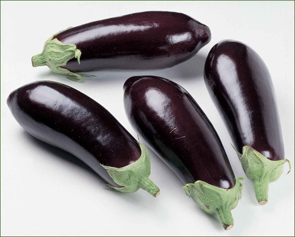 aubergines