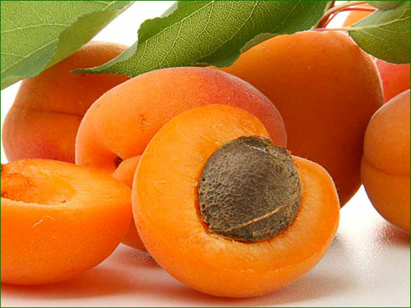 abricots