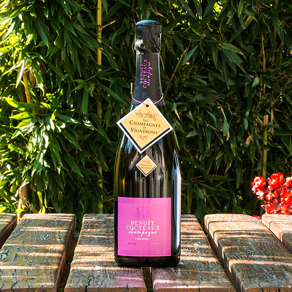 champagne