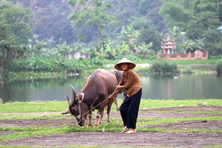 vietnam
