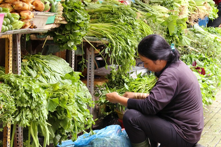 Voyage au Vietnam