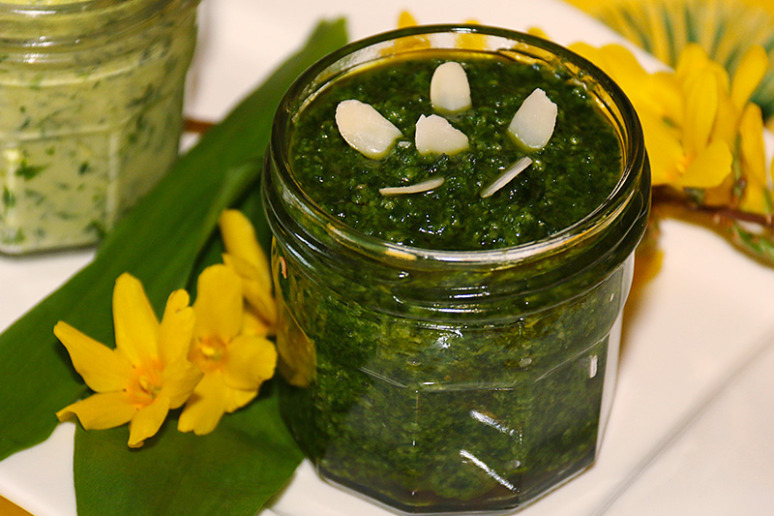 ail-des-ours-beurre-pesto-4w