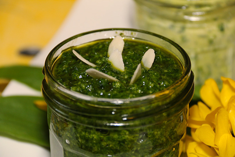 ail-des-ours-beurre-pesto-5w
