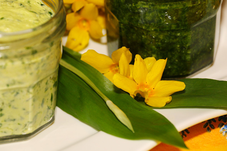 ail-des-ours-beurre-pesto-6w