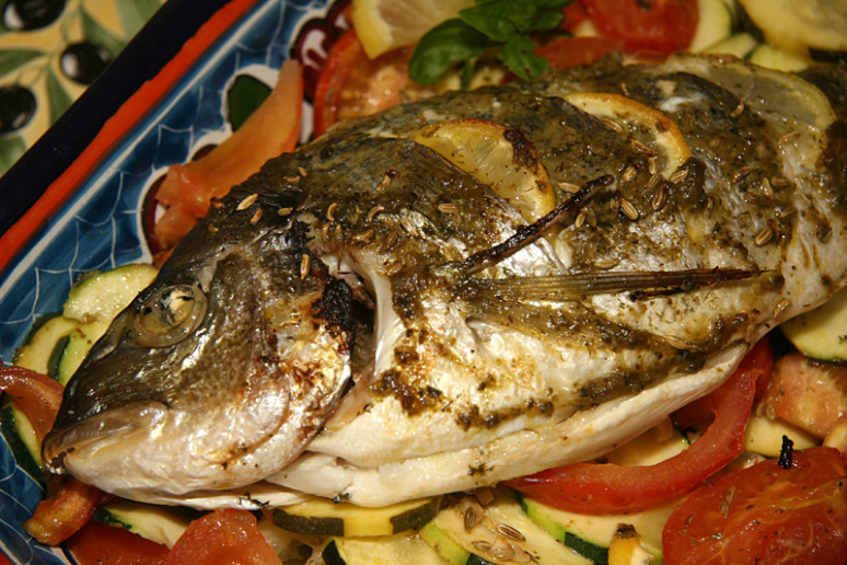 dorade
