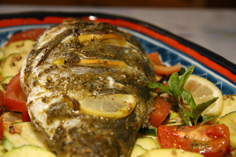 dorade