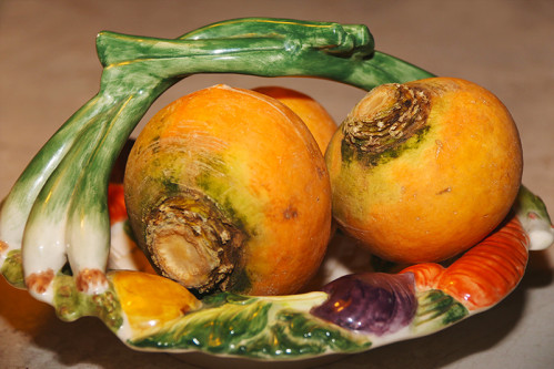 navets-boule-d-or-1w