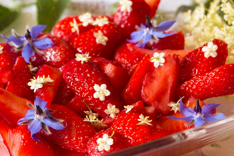fraises sureau