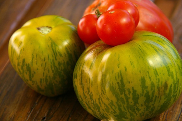 tomate