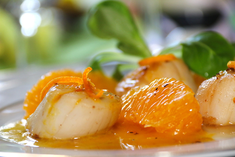 La cuisine en photo